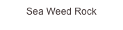 Sea Weed ...