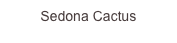 Sedona Cactus